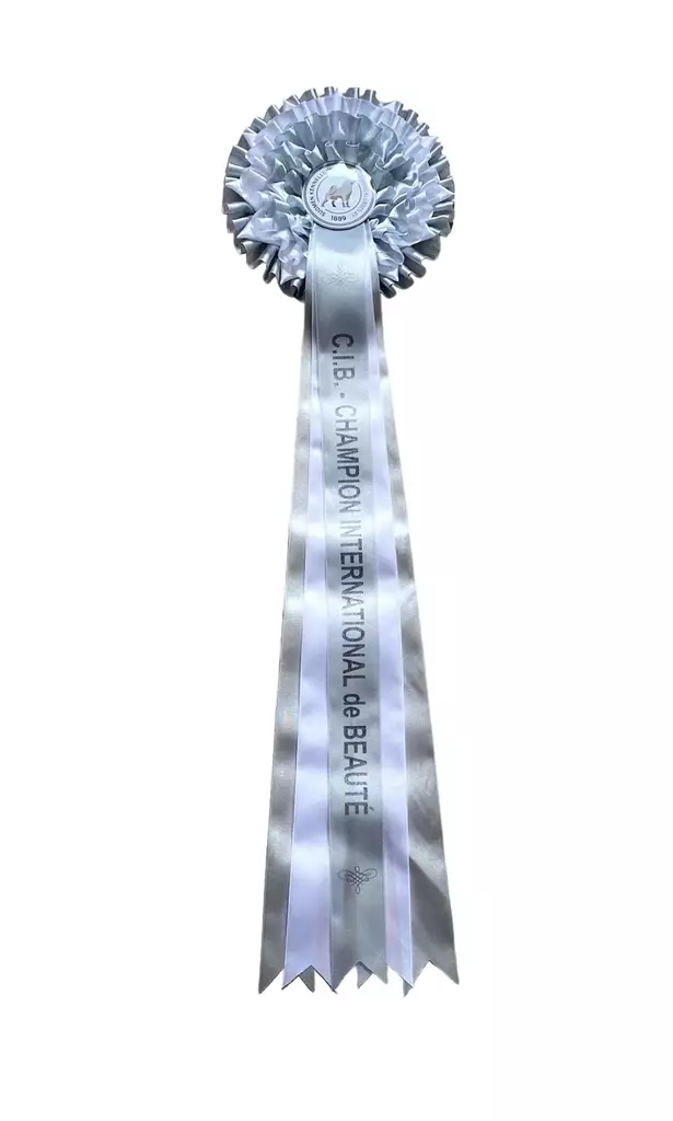 C.I.B - Kansainvälinen Muotovalio Ruusuke - Valioruusukkeet - 103170 - 1