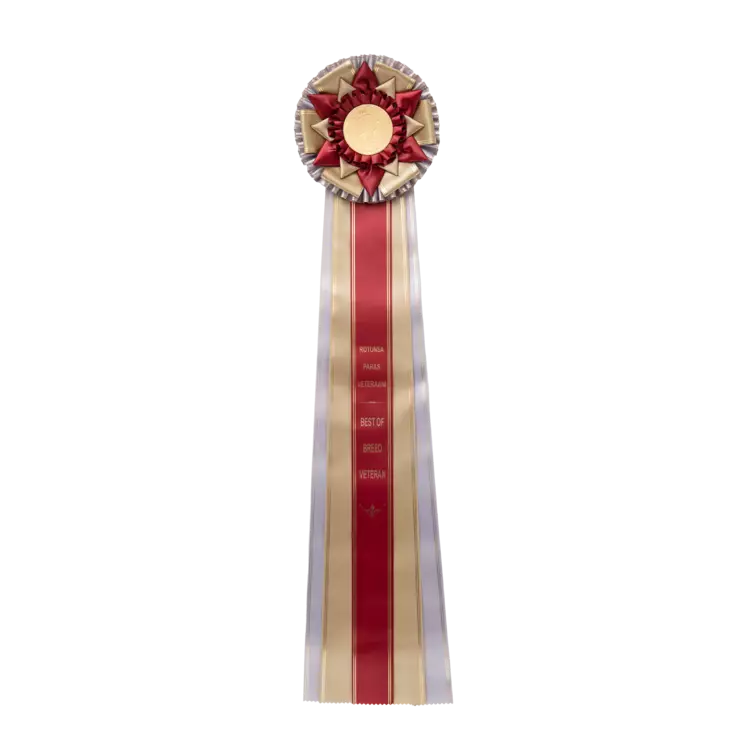 ROP VET - Rotunsa Paras Veteraani Ruusuke - Näyttelyruusukkeet - 103490 - 2