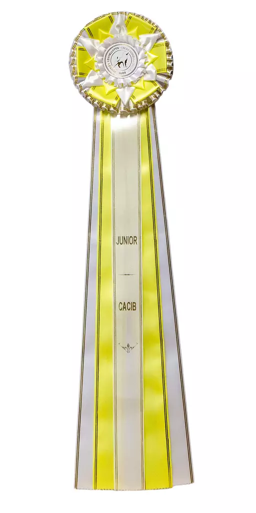 JUNIOR CACIB, iso - Näyttelyruusukkeet - 103620 - 1