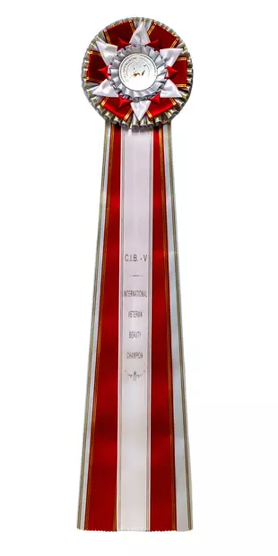 International Veteran Beauty Champion - Valioruusukkeet - 103101 - 1