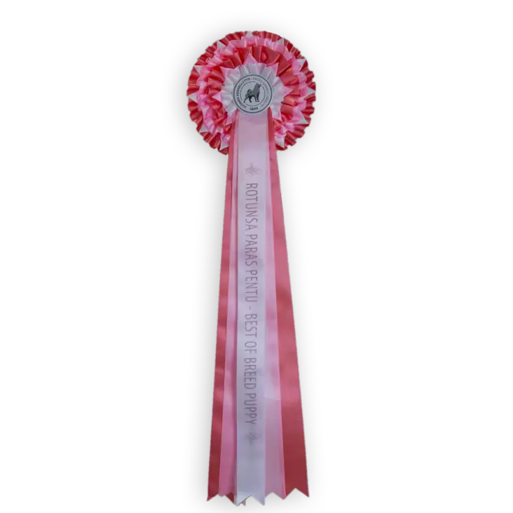 ROP PEN -ruusuke - Näyttelyruusukkeet - 103611 - 1