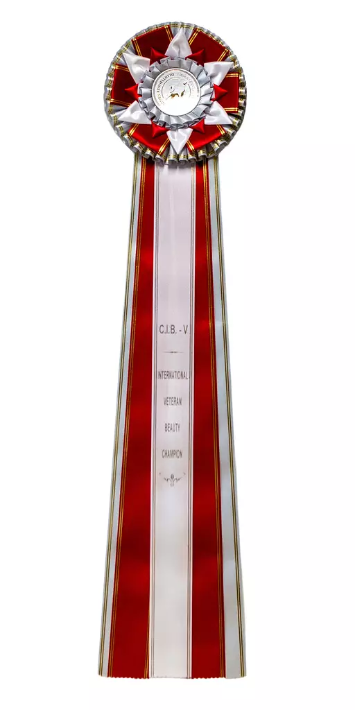 International Veteran Beauty Champion - Valioruusukkeet - 103101 - 1