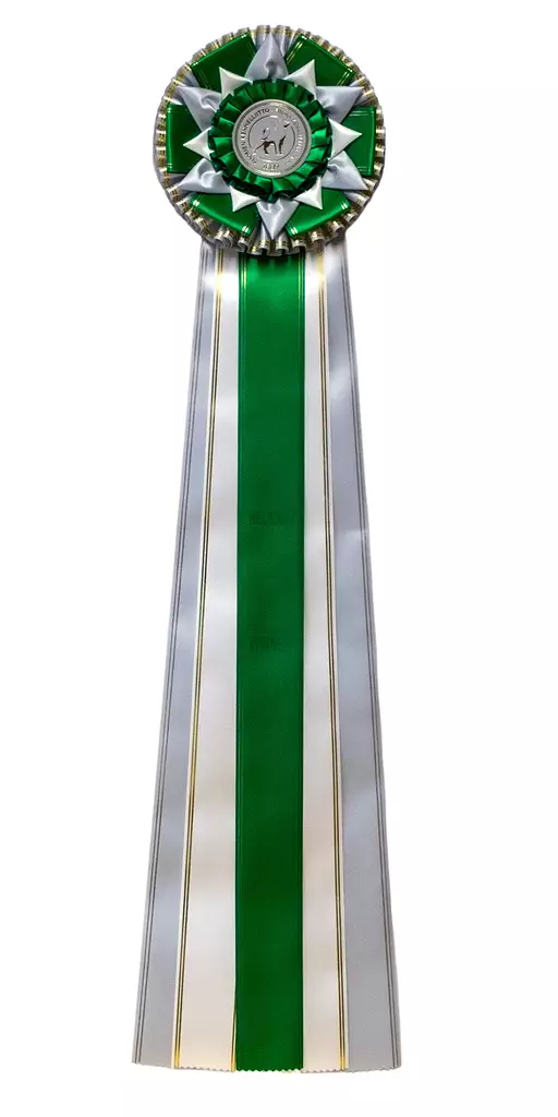 Helsinki Winner Ruusuke - Voittajaruusukkeet - 103541 - 5