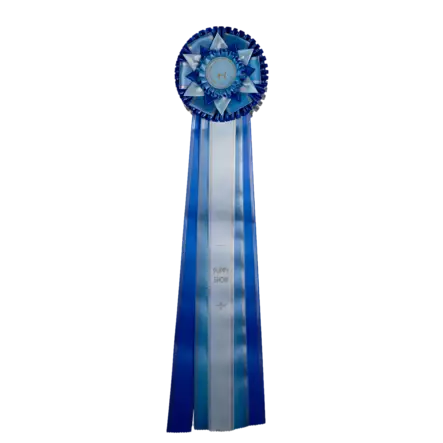 Voittaja Pentu Ruusuke - Voittajaruusukkeet - 103582 - 2