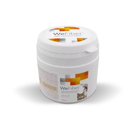 WeFiber jauhe 225g - LEMMIKIN HYVINVOINTI - 301232 - 1