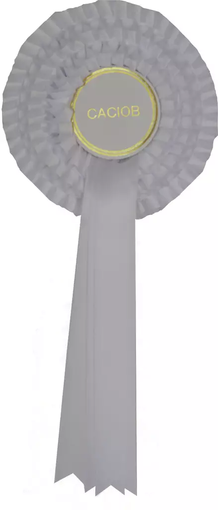 CACIOB-ruusuke - Toko ruusukkeet - 103452 - 1