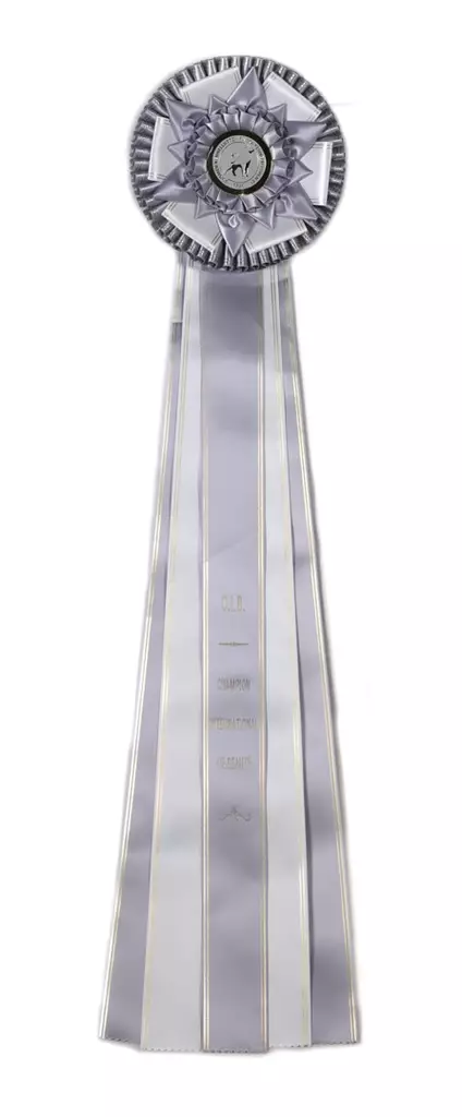 C.I.B - Kansainvälinen Muotovalio Ruusuke - Valioruusukkeet - 103102 - 1