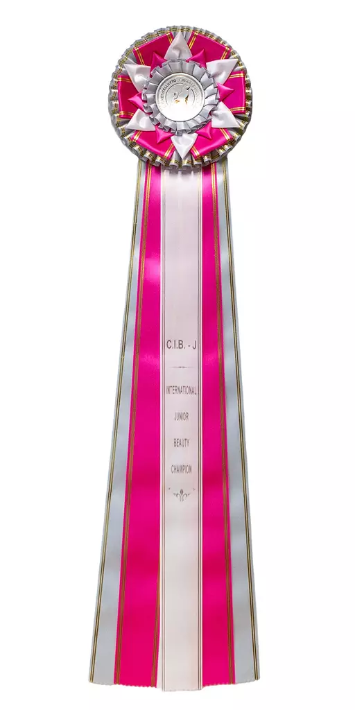 International Junior Beauty Champion ruusuke - Valioruusukkeet - 103132 - 4