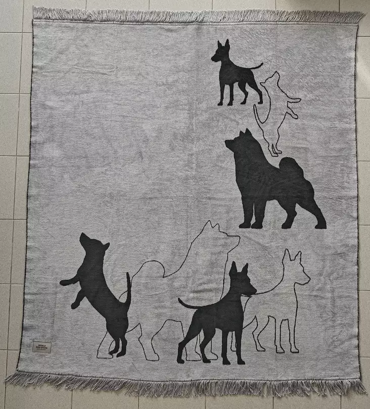 WDS huopa 150x170 cm - WDS 2025 - 609252 - 1