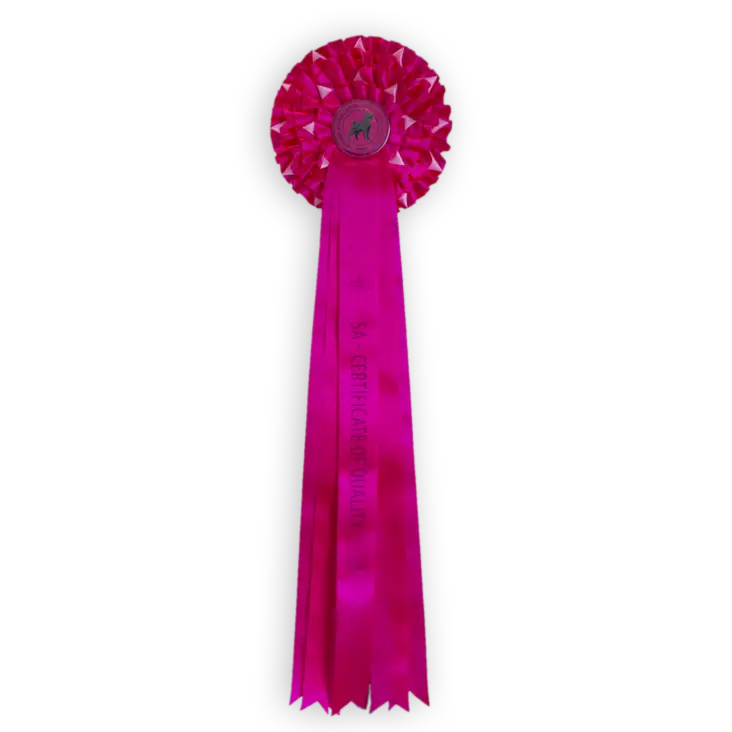 Iso SA Ruusuke - Näyttelyruusukkeet - 103613 - 1