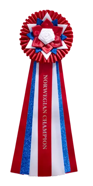 NO MVA - Norwegian Champion ruusuke - Valioruusukkeet - 103654 - 1