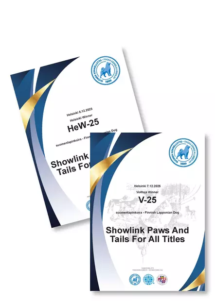 Voittaja diplomi - VOITTAJA-tuotteet - 102114 - 1