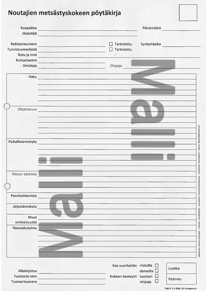 Noutajien metsästyskoe NOME - Metsästys - 405234 - 1