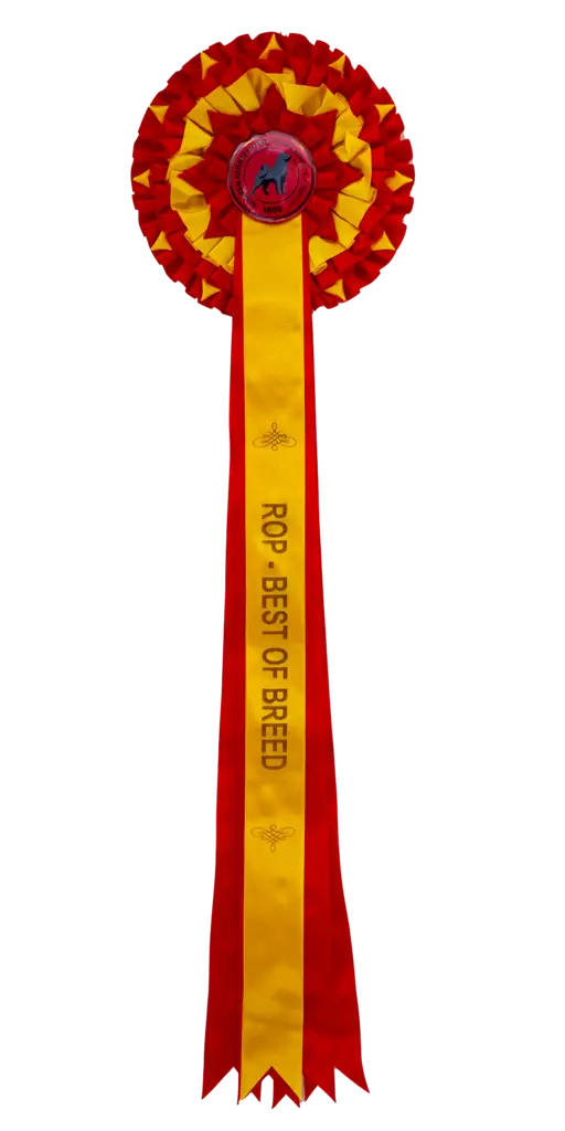 ROP ruusuke,iso - Näyttelyruusukkeet - 103624 - 1