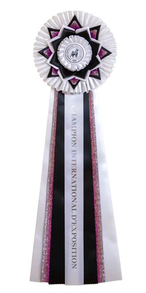 C.I.E. valko-musta liukuväri glitter - Valioruusukkeet - 103674 - 1