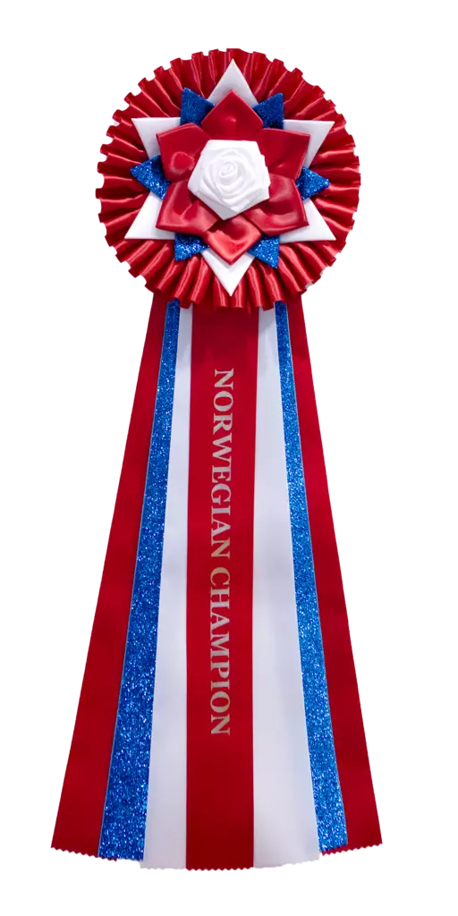 NO MVA - Norwegian Champion ruusuke - Valioruusukkeet - 103654 - 1