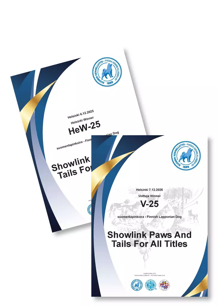 Voittaja diplomi - VOITTAJA-tuotteet - 102114 - 1