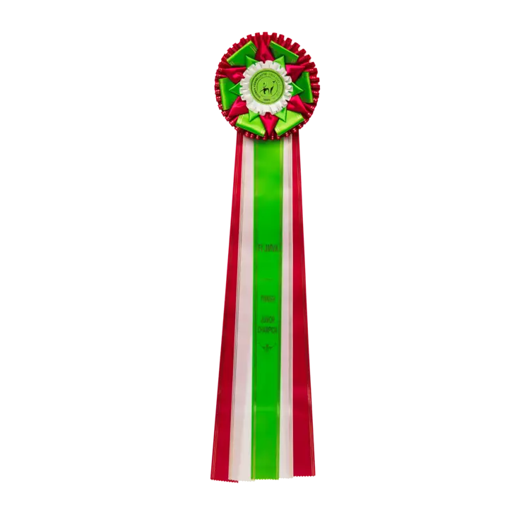 FI JMVA / Suomen juniorimuotovalio -ruusuke - Valioruusukkeet - 103595 - 1