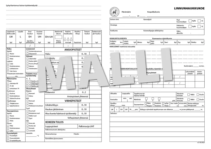 LINT arvostelukortti - Metsästys - 405135 - 5