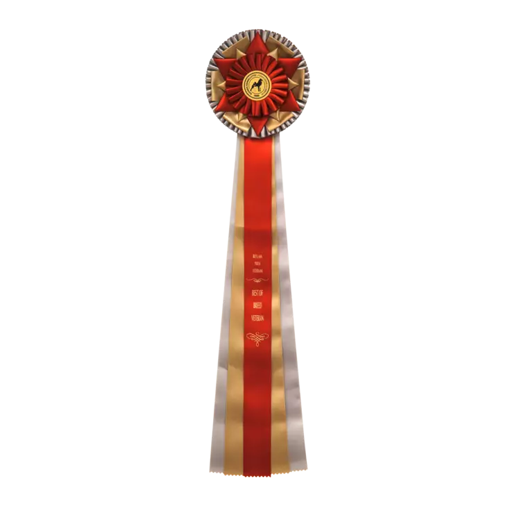 ROP VET Ruusuke, harmaa/kulta/puna - Näyttelyruusukkeet - 103145 - 1