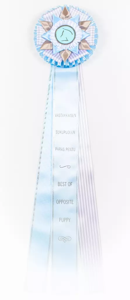 VSP PENTU ruusuke, iso - Näyttelyruusukkeet - 103545 - 1