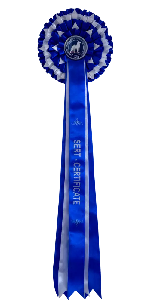 SERT ruusuke,iso - Näyttelyruusukkeet - 103625 - 1