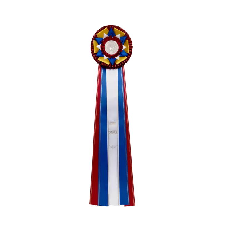 NORDIC CHAMPION - Pohjoismaiden Valio Ruusuke - Valioruusukkeet - 103586 - 1