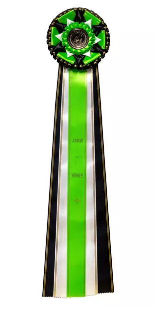 Juniori Voittaja Ruusuke - Voittajaruusukkeet - 103537 - 6