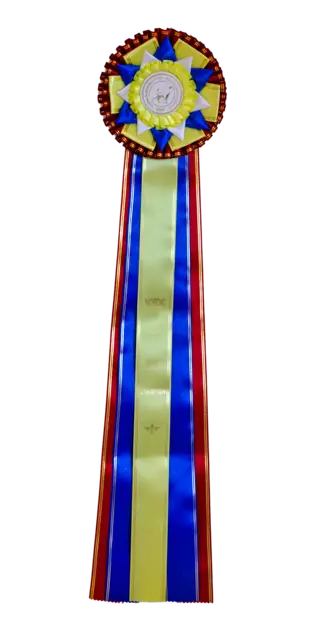 NORDIC JUNIOR CHAMPION - Valioruusukkeet - 103237 - 1