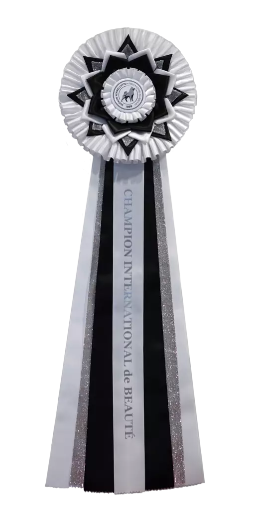 C.I.B. valko-musta glitter - Valioruusukkeet - 103647 - 1