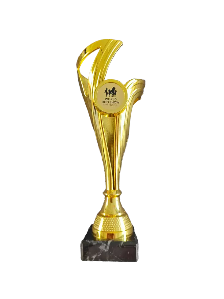 WDS muistopokaali - WDS 2025 - 103947 - 1