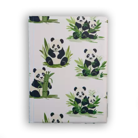 Näyttelykansio, Panda - Vaihtuvat mallit - 602128 - 1