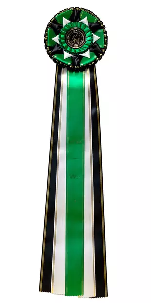 Voittaja Ruusuke - Voittajaruusukkeet - 103538 - 5