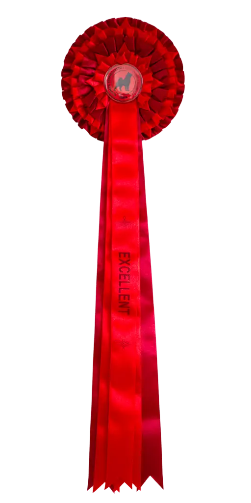 EXCELLENT ruusuke,iso - Näyttelyruusukkeet - 103628 - 1