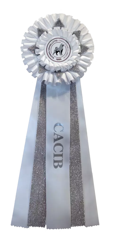 CACIB glitter - Perusruusukkeet - 103648 - 1