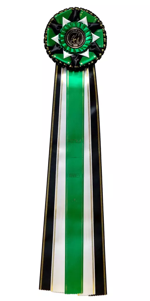 Voittaja Ruusuke - Voittajaruusukkeet - 103538 - 5