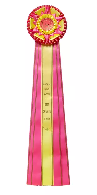 ROP JUN Ruusuke, pinkki/v.kelt - Näyttelyruusukkeet - 103139 - 1