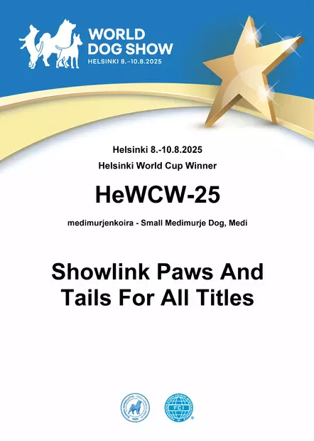 WDS 2025 diplomi - WDS 2025 - 609349 - 2