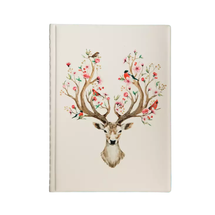 Näyttelykansio, Kauris - Vaihtuvat mallit - 602359 - 1