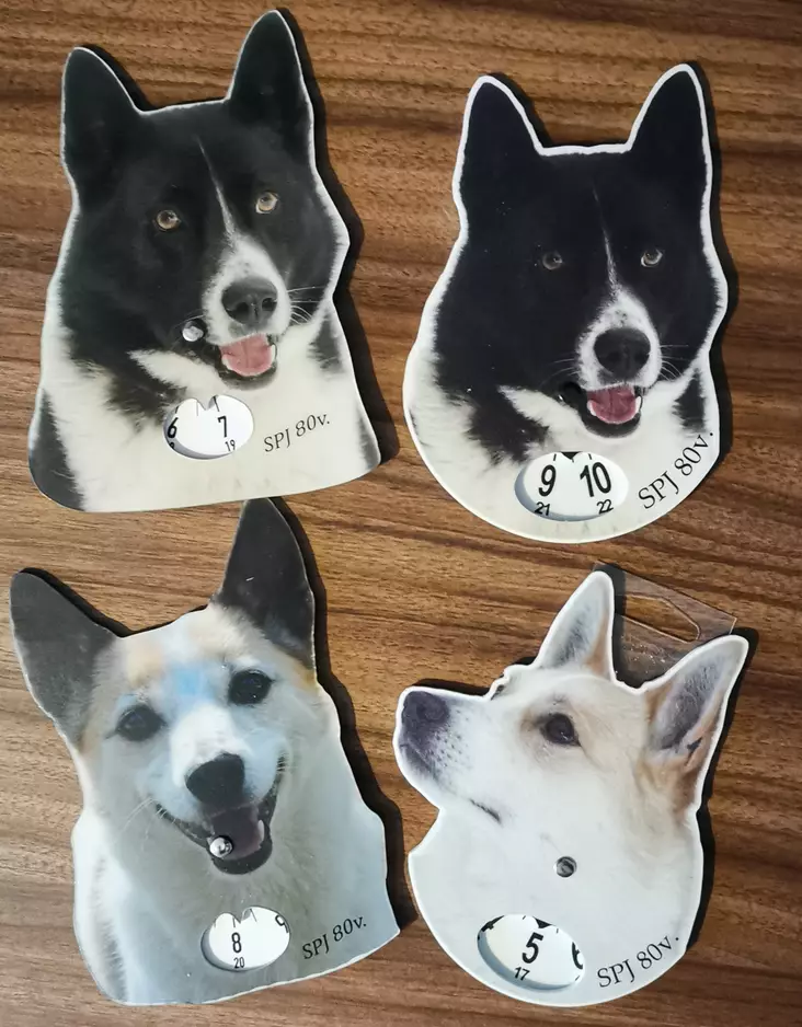 SPJ parkkikiekko - SUOMEN PYSTYKORVAJÄRJESTÖ - 203009 - 1