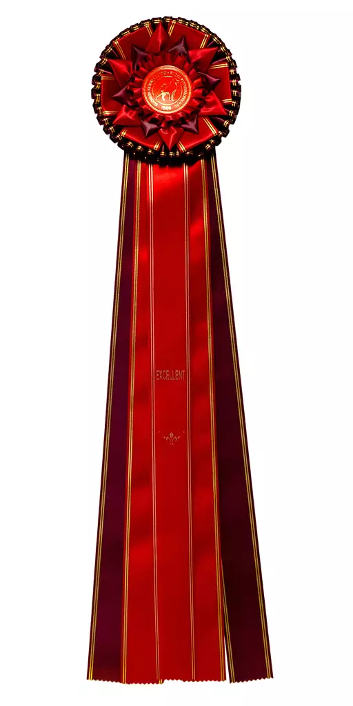 EXCELLENT ruusuke,iso - Perusruusukkeet - 103679 - 1